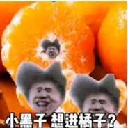 我承认我昨晚是喝得晕了