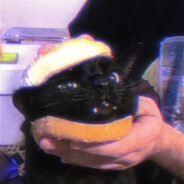 只是一个愚蠢的三明治