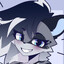 Raccoon