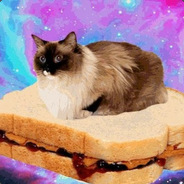 Acqiz #GenerałPuszek