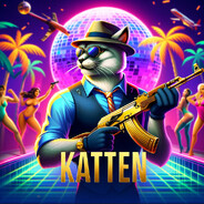 Katten Med Hatten