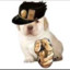 Jotaro-dog