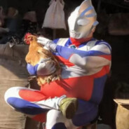 坤坤暴打鲁智深