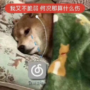 最先心动的人最惨