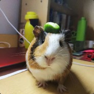 Lucas - steam id 76561198331338954