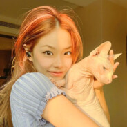 我紫四假装坚强