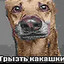 Грызть какашки