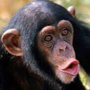 PASSIVO QUE SÓ COME