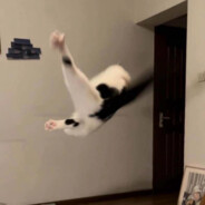 爱猫人士黑化版