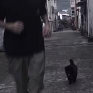 最爱夹子穿黑丝