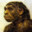 neanderthal