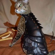 Larry & The Assless Chaps