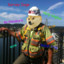 SurveyDoge