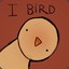 Birdcool