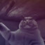 granny cat