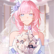 我永远喜欢爱莉希雅