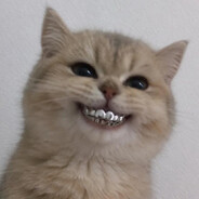 hihihihihi lol