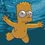 Mister Waterlemon