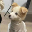 不和地球人玩