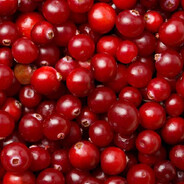 Cranberry Enjoyer avatar