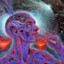 DMT