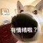 啥情况