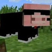 донат решает