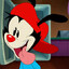 wakko