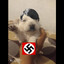 Führer卍