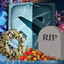 R.I.P Dota2