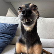 dogg