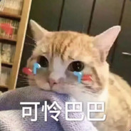 晔兮菲菲