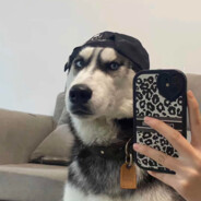 浙江省教育厅厅长