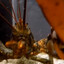 lobsteroid creature
