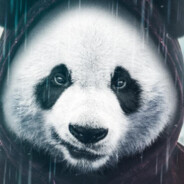 PanDa_71√ίק™