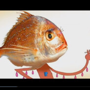 光头旗帜插遍异世界