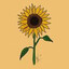 Sunflower✿