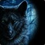 DaRkWoLF