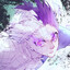 ㄨ Chameleon