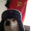 communist dog