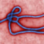 EBOLA