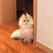 本当の樱花妹と罕见の伝説！雪莲東一郎です