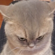 芜湖~骑你爸飞走咯~