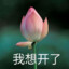 练习时长两年半