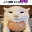 japórzko
