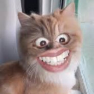 Saatir Biila - Darinda