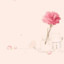MissX