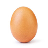 egg