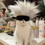 资历最老 伤害最少 B话最多 一碰就倒