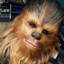 LittleChewbacca